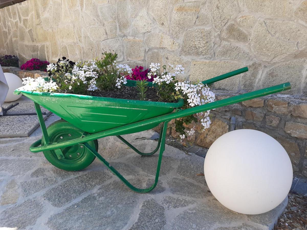Casa Federica Appartement Ventimiglia Buitenkant foto